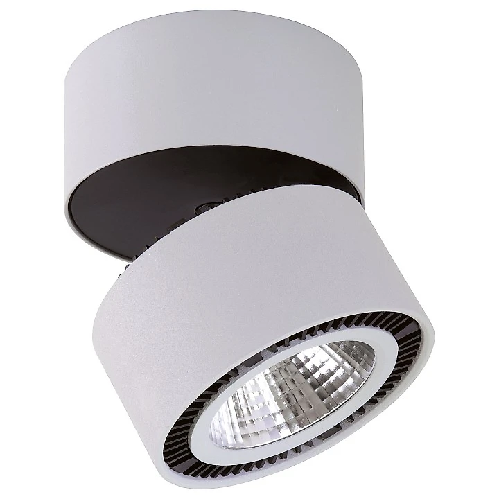 Светильник  Forte Muro LED 213830